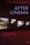 After Cinema Storytelling in Contemporary Media Art
