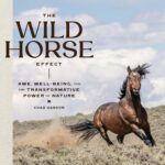 The Wild Horse Effect Awe