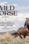 The Wild Horse Effect Awe