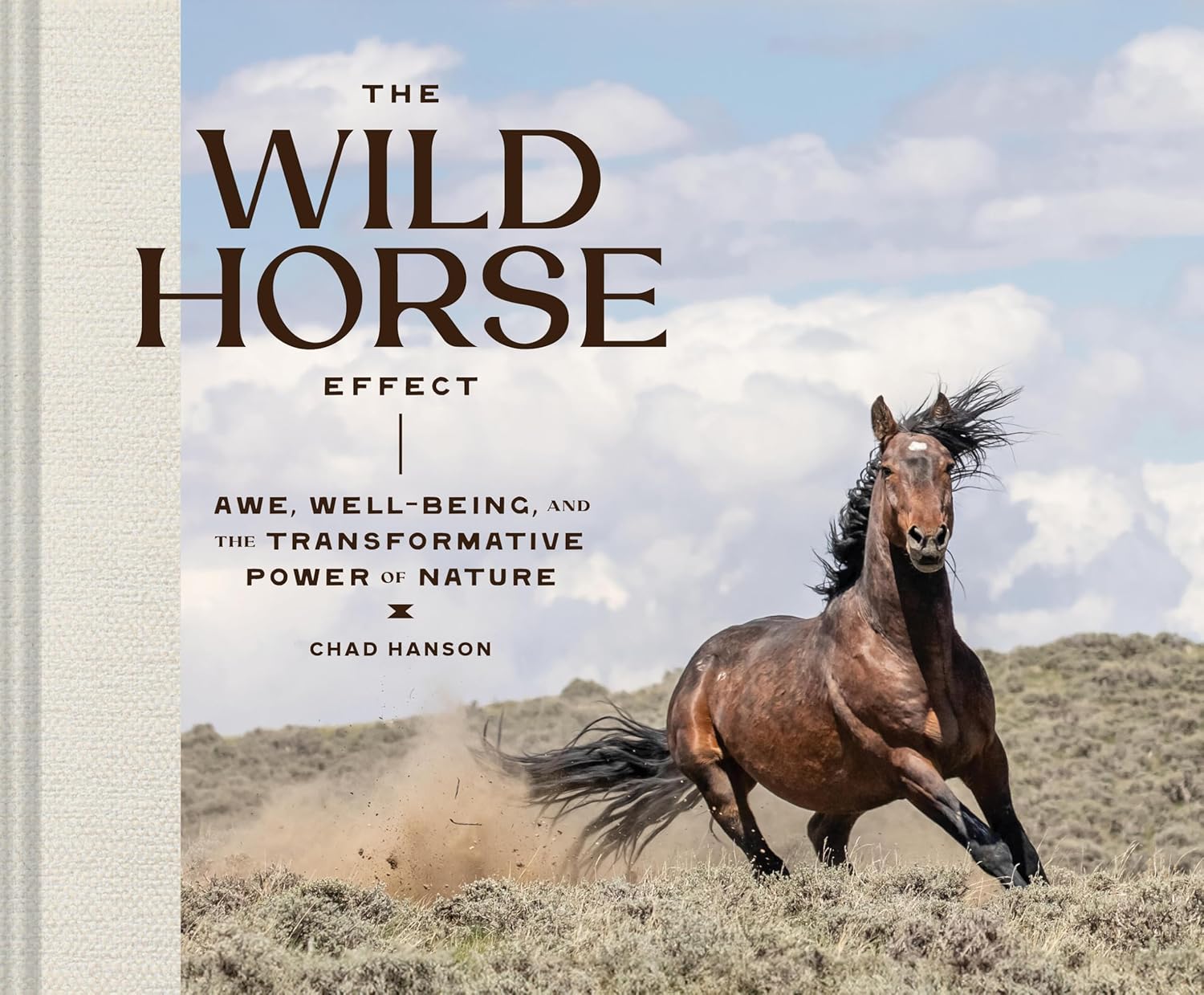 The Wild Horse Effect Awe