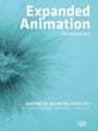 Expanded Animation Mapping an Unlimited Landscape