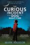 The Curious Incident of the Dog in the Night-Time