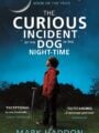 The Curious Incident of the Dog in the Night-Time