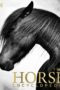 The Horse Encyclopedia by DK