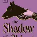 The Shadow of the Object