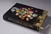 The National Gallery. Paintings, People, Portraits XL - Image 2