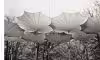 Frei Otto: Building with Nature - Image 4